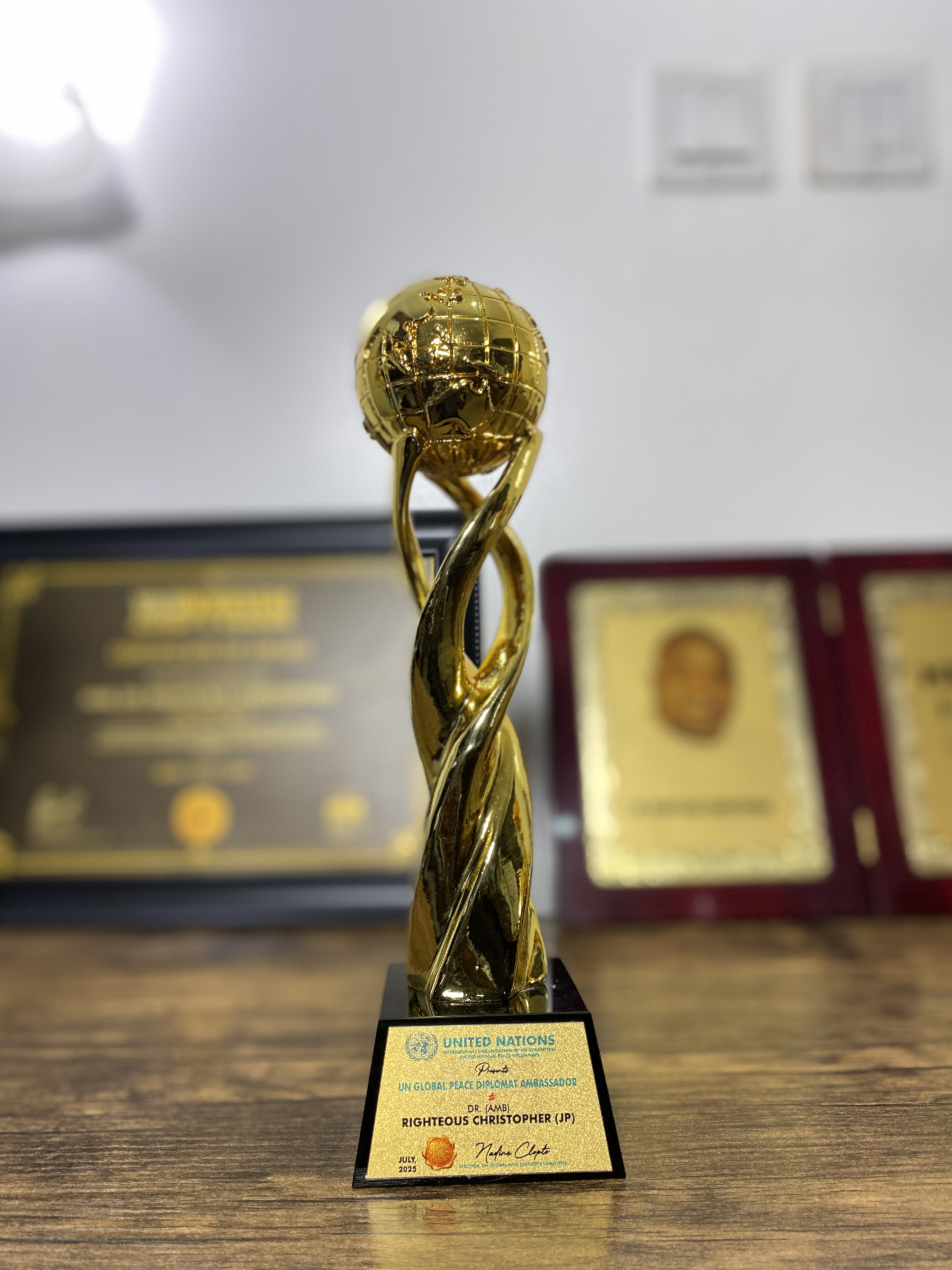 UNITED NATIONS AWARDS